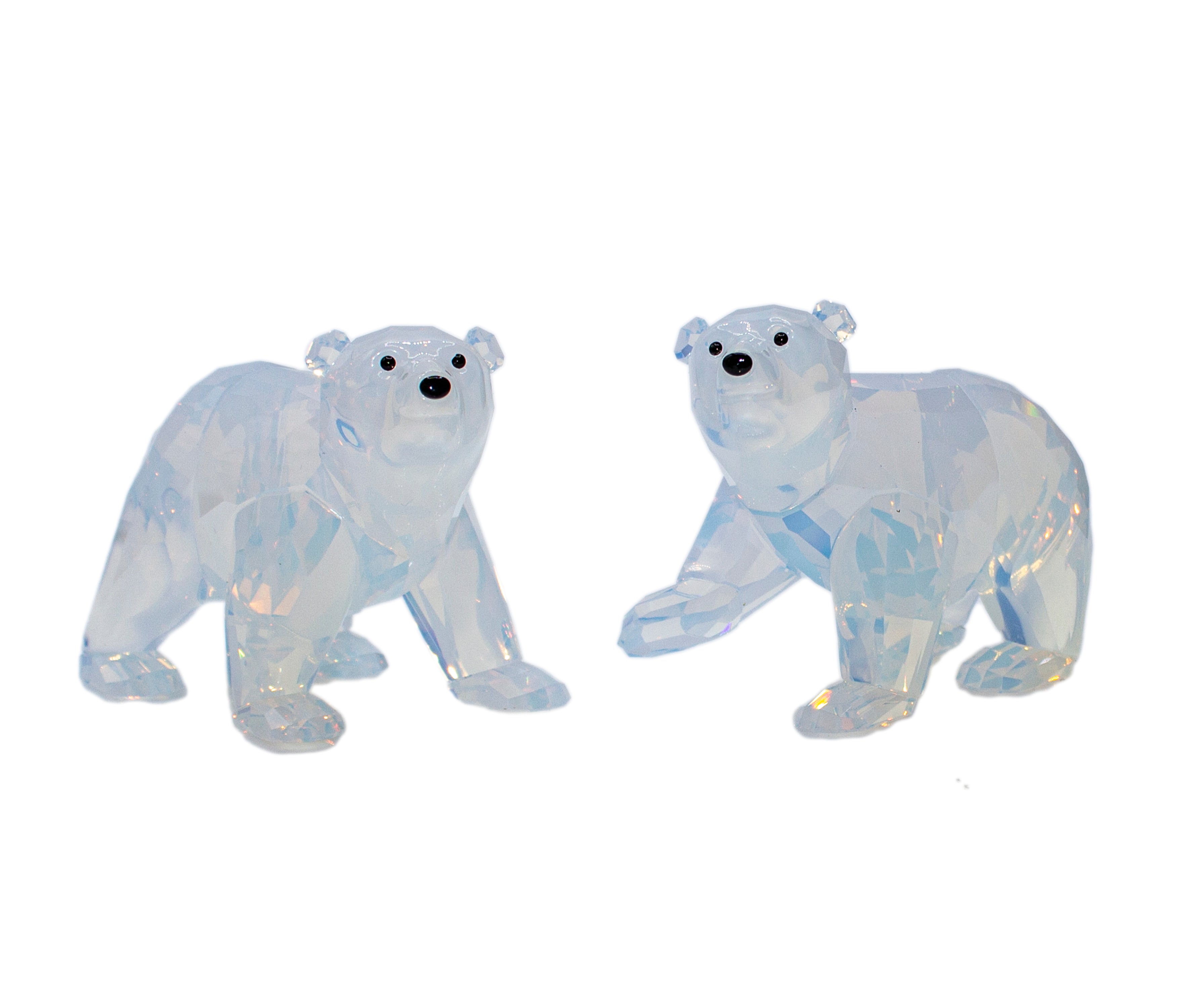 Cubs Training Package - Polar Bears Field Hockey