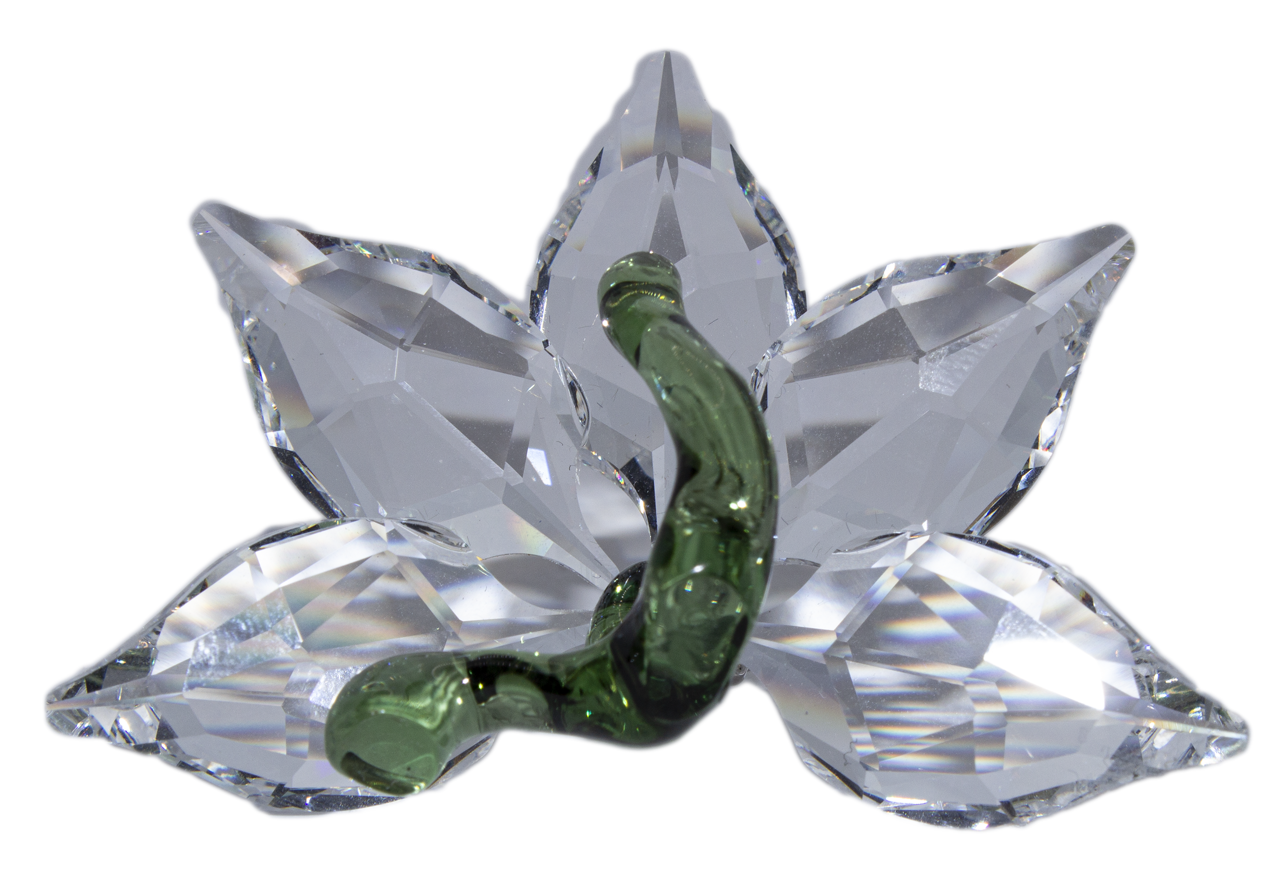 Swarovski Crystal: 1142858 Renewal Orchid