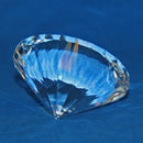 Swarovski Paperweight: 013702 Large Chaton