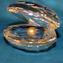 Swarovski Crystal: 014389 Shell with Pearl