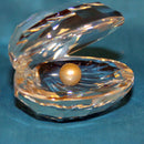 Swarovski Crystal: 014389 Shell with Pearl