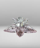 Swarovski Crystal Degia Rosaline Moonlight Flower, Crystal Paradise, 0956807
