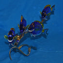 Swarovski Figurine: 1034023 Surgeon Fish
