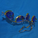 Swarovski Figurine: 1034023 Surgeon Fish