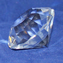 Swarovski Crystal: 1096758 Chaton - Swarovski Collector Society