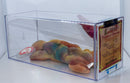 Authenticated Beanie Baby: 3rd Generation Lizzy (Ty-Dyed) - Actual Photo 11155