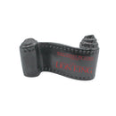 WDCC - Opening Title | 1200781 | Disney's Lion King