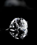 Swarovski Figurine: 190858 Ladybug