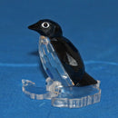 Swarovski Crystal: 191448 Sir Penguin
