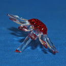 Swarovski Crystal: 252371 Red Marguerite - Daisy
