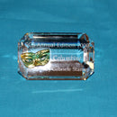 Swarovski Crystal: 255780 Columbine Plaque - 2000