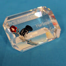 Swarovski Crystal: 276870 Harlequin Plaque