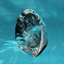 Swarovski Figurine: 283324 Wild Horses - Paperweight