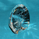Swarovski Figurine: 283324 Wild Horses - Paperweight