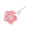 Waterford Crystal: Fleurology Pink Glass Rose, 15"
