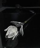 Waterford Crystal: Fleurology Clear Glass Tulip, 14.5"