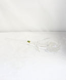 Waterford Crystal: Fleurology Clear Glass Tulip, 14.5"