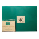 WDCC Witch - Poisonous Plot | 4020459 | Disney's Snow White | Limited to 750