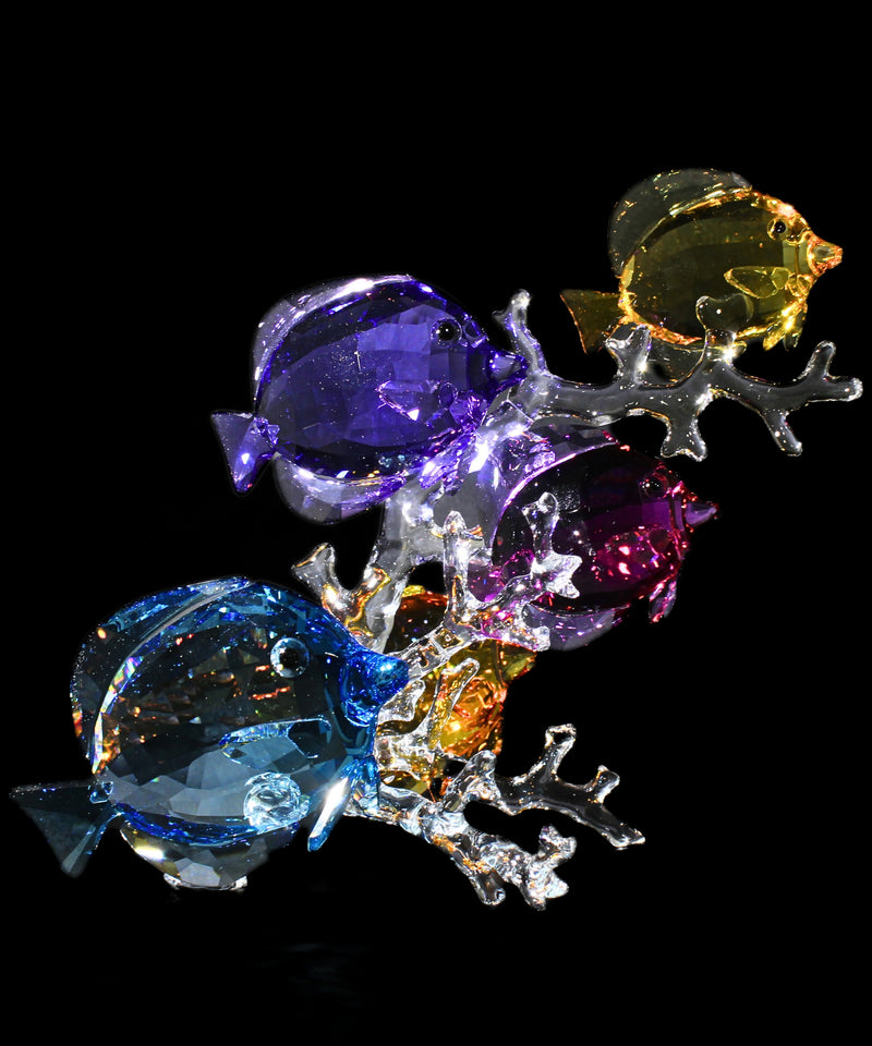 Swarovski Figurine: 5223195 Rainbow Paradise Fish Family