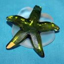 Swarovski Crystal: 659913 Cantillana the Starfish