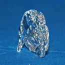 Swarovski Crystal: 670819 Butterfly Fish