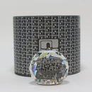 Swarovski Paperweight: 7404NR060087 Medium Vitrail VM