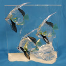 Swarovski Figurine: 854650 Community - Colored