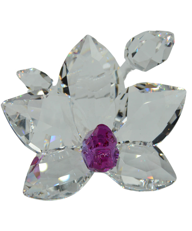 Swarovski Figurine: 864464 Orchid Blossom