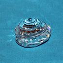 Swarovski Crystal: 880693 Member Top Shell
