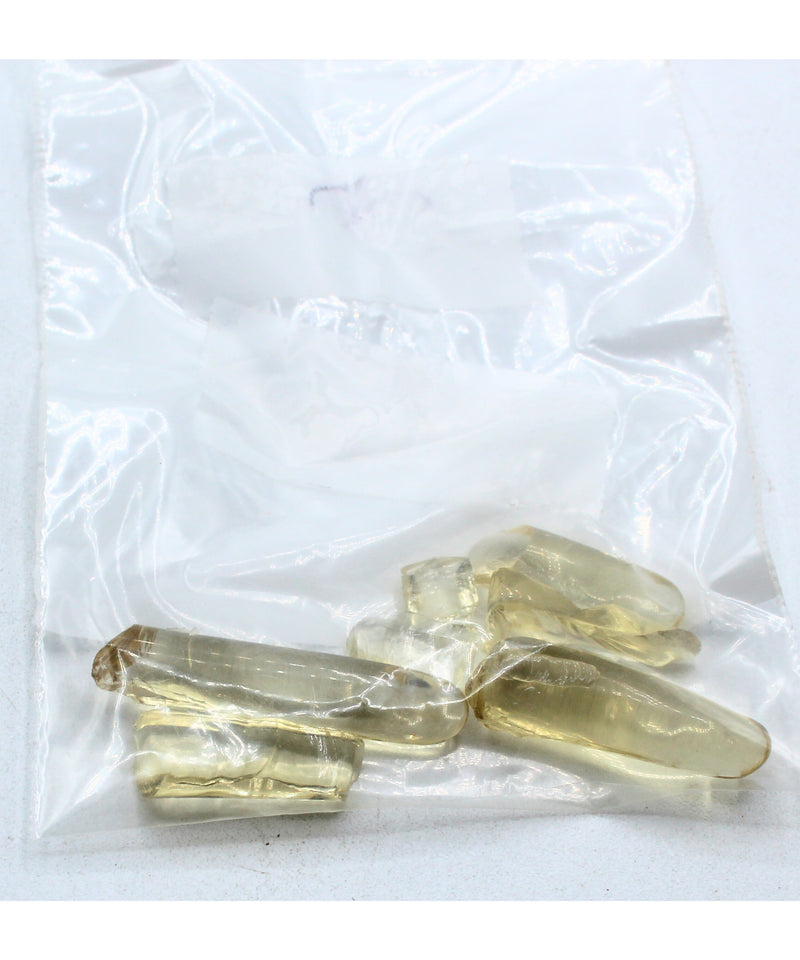 Murano Glass Birds of the World Cockatoo Sculpture