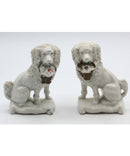 Swaffordshire Poodles with baskets