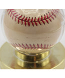 Autographed Baseballs Unknown Signings Lot of 7