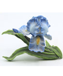 Lenox Garden Flowers Iris