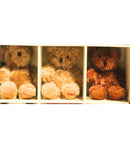 A Century of Bears Plush Collection – Lot
