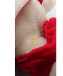 Vintage Snoopy Plush and  Wardrobe Trunk, Please Read