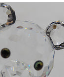 Swarovski Crystal Kris Bear Celebration