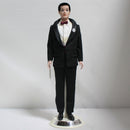 Mattel: 30th Anniversary Porcelain Ken Doll | Please Read