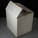 Bloomingdales Big Brown Bag NYC Snow Globe