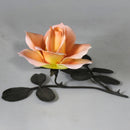 Roses of Honour Royal Worcester Porcelain Flowers