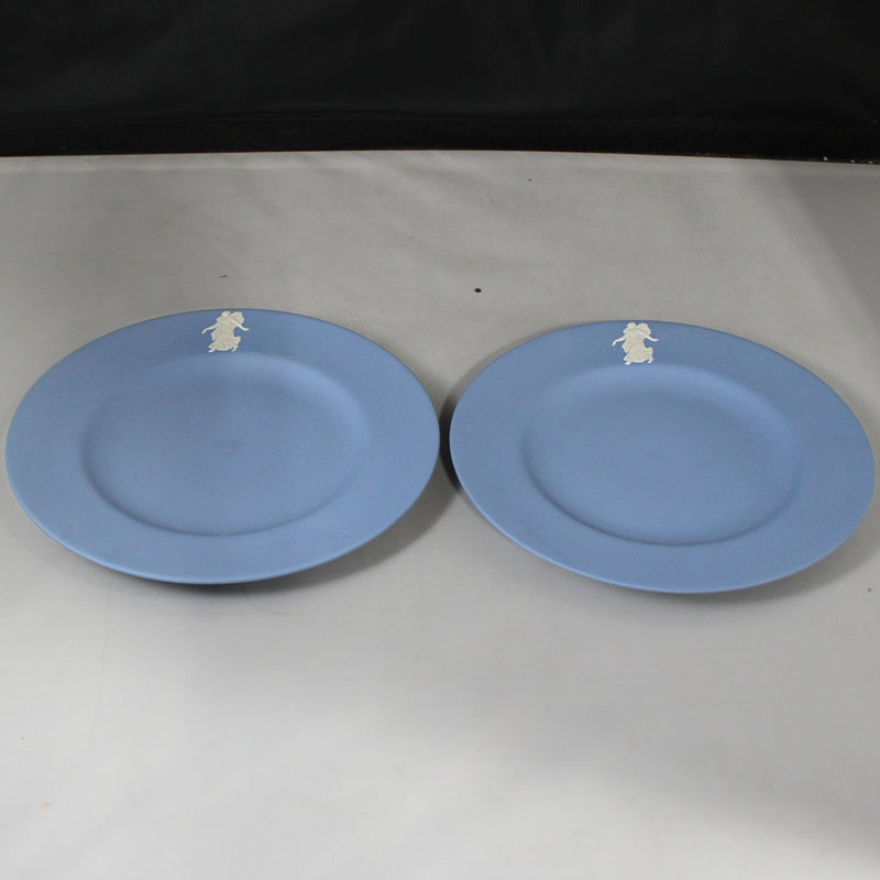 11 Piece Wedgwood Jasperware Tea Set