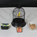 American Girl Addy's Birthday Bird & Cage