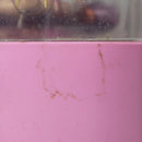 2005 Mattel Barbie Fairytopia Mermaidia Sea Butterfly Mini Doll