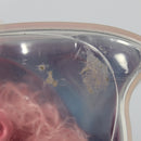 2005 Mattel Barbie Fairytopia Mermaidia Sea Butterfly Mini Doll