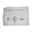 Barbie Limited Edition Poodle Parade Watch