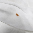 Lot of 3: Vintage Beanie Baby Swag