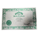 Cabbage Patch Erwin Ziggy