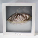 Tonner, Nu Mood Ballet Skirt, Champagne