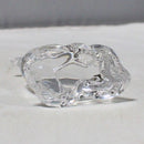 Waterford Goose Paperweight