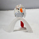 Rare Preciosa Parrot, Design 2000