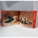 A Celebration of Steiff, Special Edition, Teddy Bear With Book